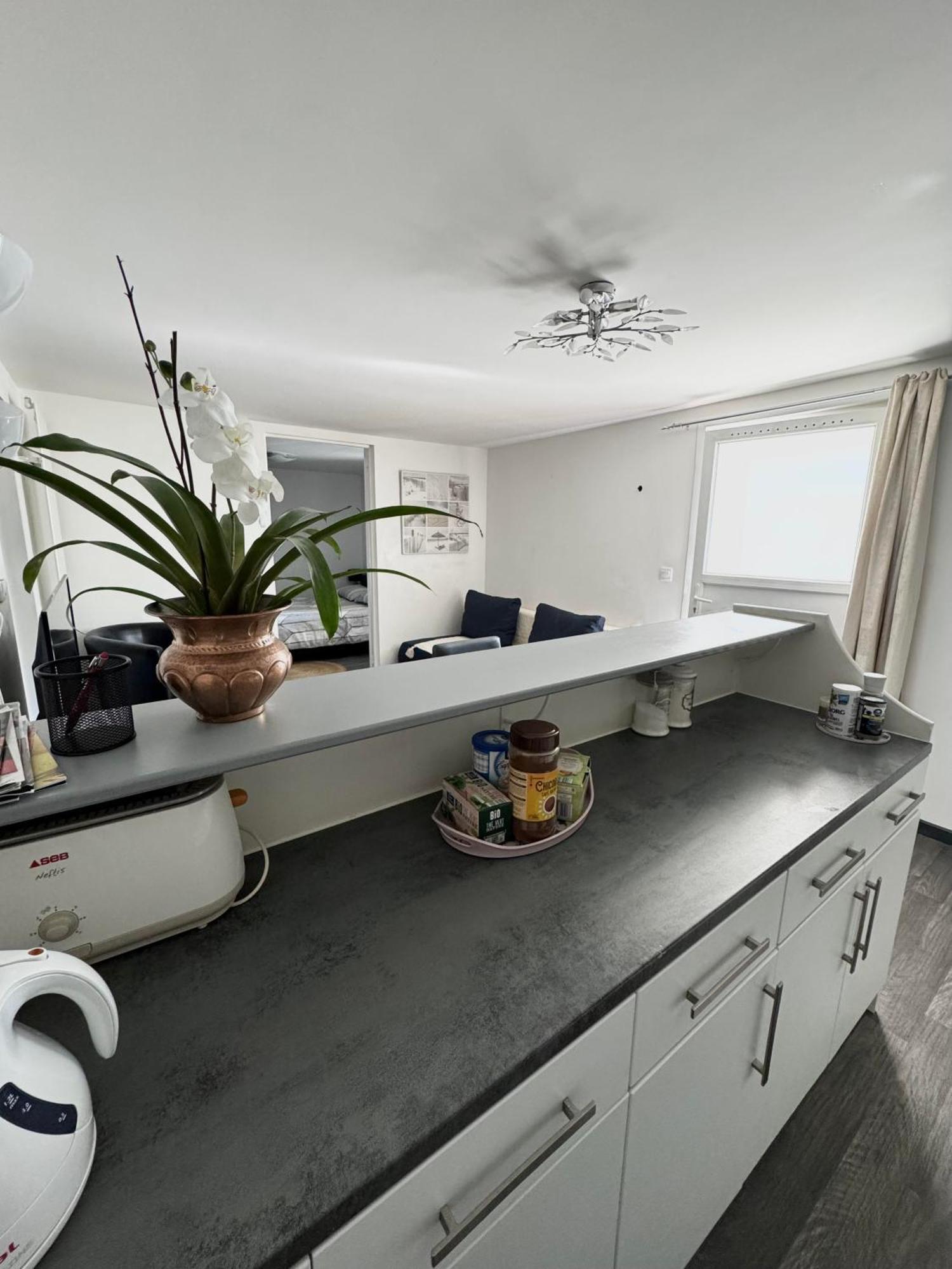 Appartement Detox Au Pied Du Semnoz سينيو المظهر الخارجي الصورة
